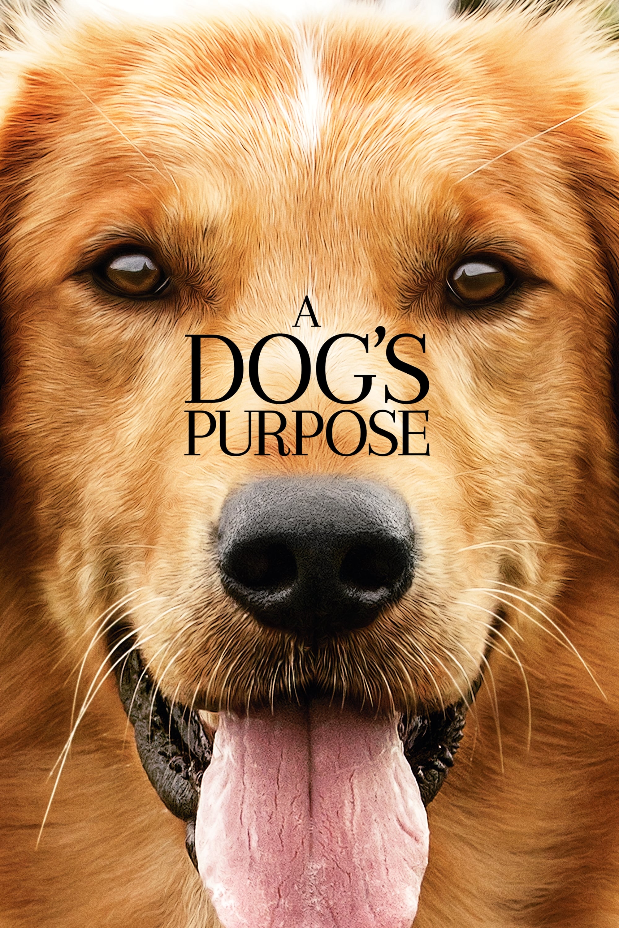 A Dog S Purpose